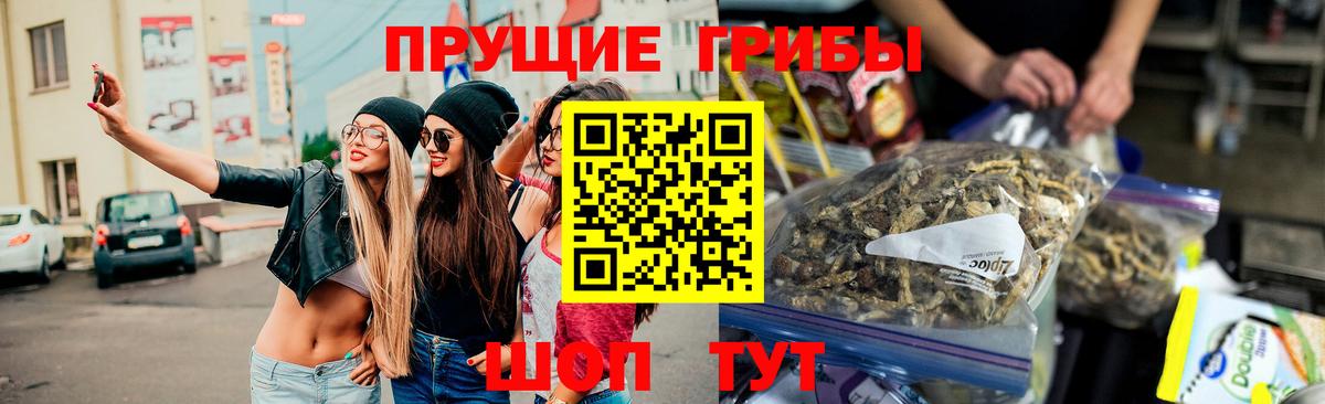 Псилоцибиновые грибы GOLDEN TEACHER Камышин